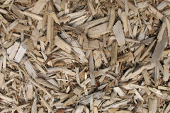 biomass boilers Tuckenhay